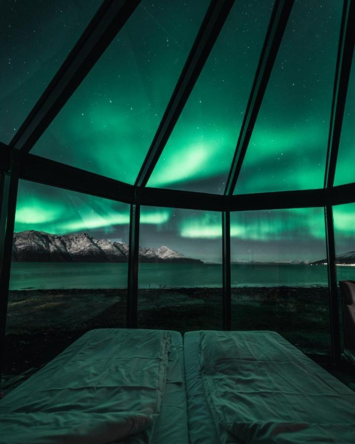 Villa Lyngen North Rotsund Esterno foto