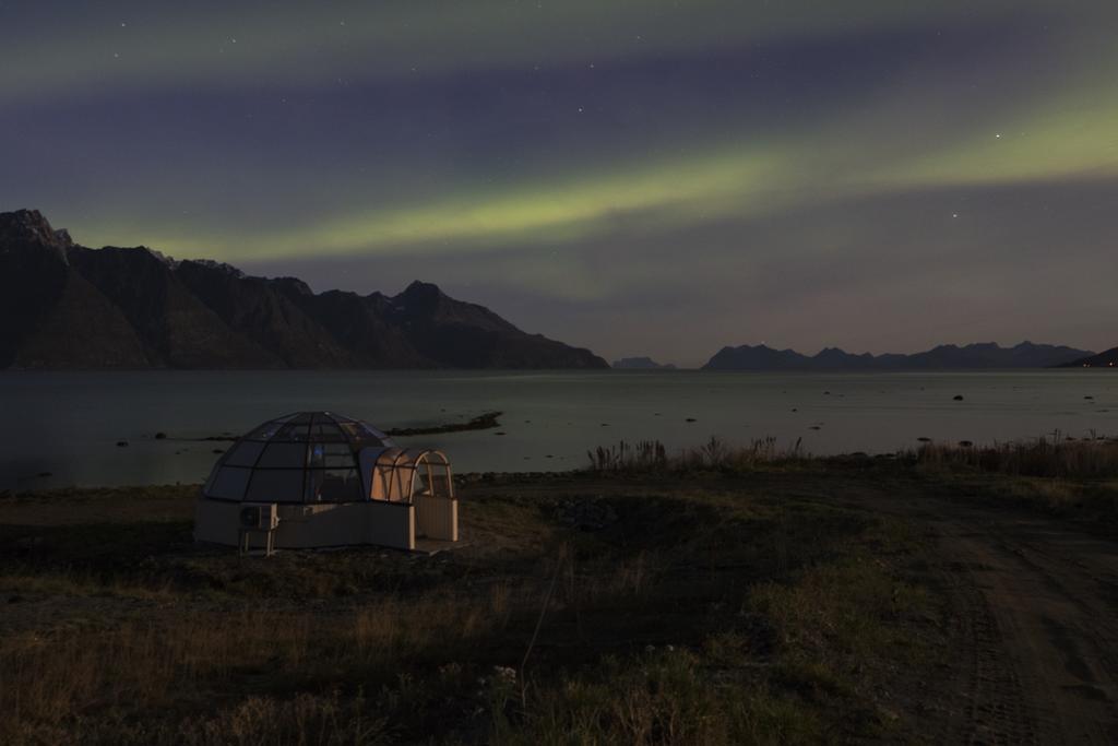 Villa Lyngen North Rotsund Esterno foto
